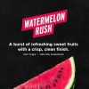 FITAID Essentials Creatine Powder Watermelon Rush - 60 Servings Photo 3